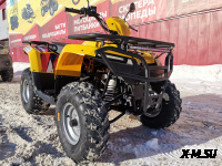 Квадроцикл IRBIS ATV 250 XE (X-MOTORS EDITION)