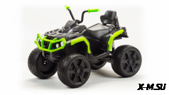 Электроквадроцикл BRP C003