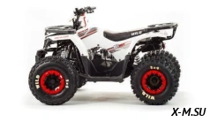 Квадроцикл MOTOLAND (МОТОЛЕНД) 125 WILD