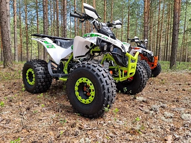 Квадроцикл PROMAX SCORPION 180