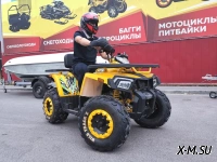 Квадроцикл PROMAX STORM 280 LUX