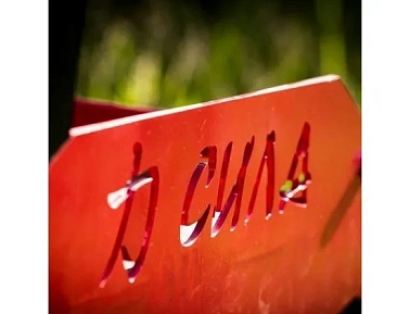 Мотобуксировщик Сила 500 9 л.с.