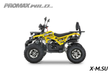 Квадроцикл PROMAX WILD 2.0 190 PRO (2025)