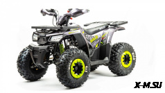 Квадроцикл MOTOLAND (МОТОЛЕНД) 125 WILD A