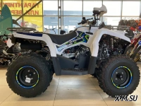 Квадроцикл PROMAX RENEGADE 300 WINCH