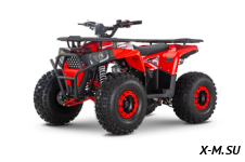 Квадроцикл WELS Trail 125