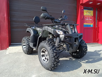 Квадроцикл PROMAX ATV 250 PRO (2025)