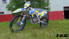 МОТОЦИКЛ КРОСС 250 TT250 (172FMM) PRO SPORT с ПТС