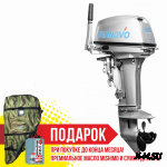 Лодочный мотор Seanovo SN20FHL