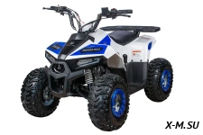 Квадроцикл Yacota Raposa