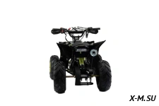 Квадроцикл MOTOLAND (МОТОЛЕНД) 110 RAPTOR A