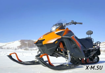 Снегоход Woideal WD 280