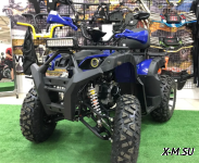 Квадроцикл FXMOTO BULL-200