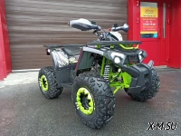 Квадроцикл PROMAX STORM 190 LUX