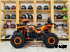 Квадроцикл FXMOTO HORNET 125