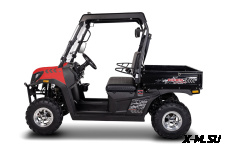 Мотовездеход (UTV/БАГГИ) AODES 170-10 Golf